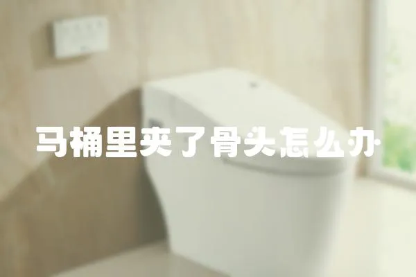 馬桶里夾了骨頭怎么辦