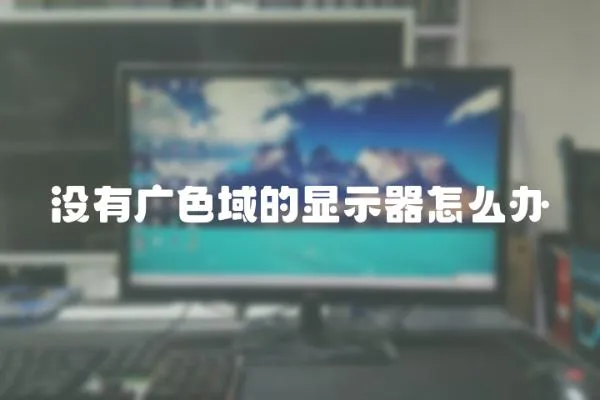 沒有廣色域的顯示器怎么辦