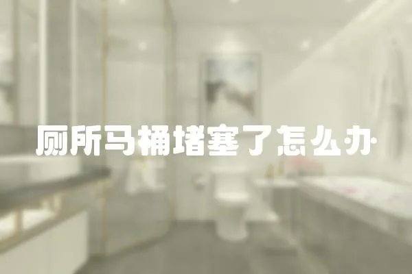 廁所馬桶堵塞了怎么辦