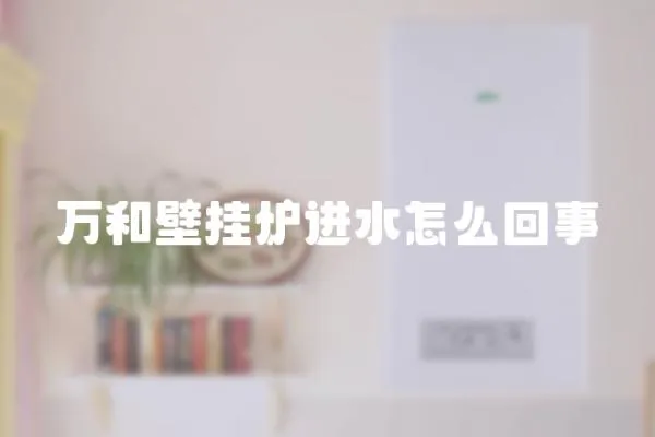萬和壁掛爐進水怎么回事