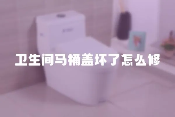 衛生間馬桶蓋壞了怎么修