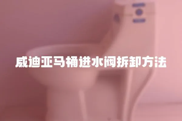 威迪亞馬桶進水閥拆卸方法