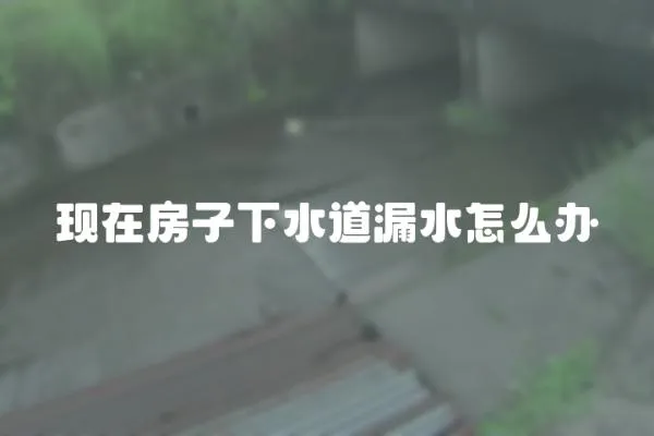 現(xiàn)在房子下水道漏水怎么辦