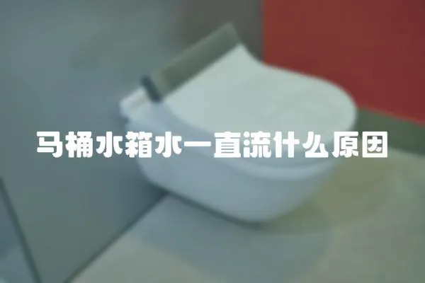 马桶水箱水一直流什么原因