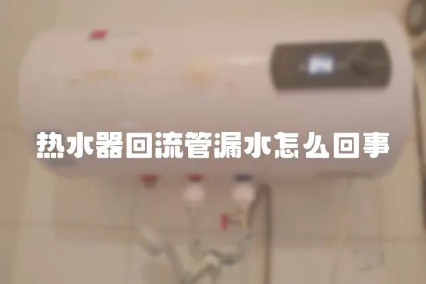 熱水器回流管漏水怎么回事