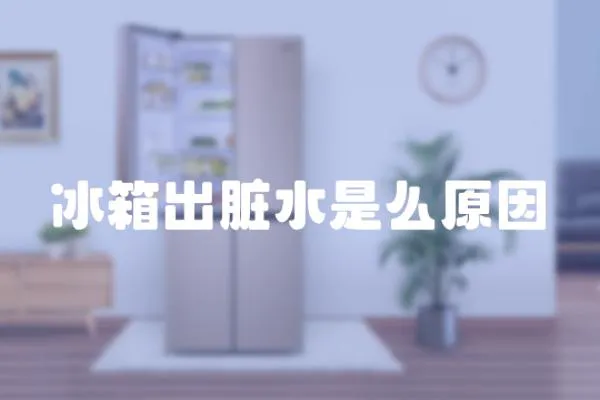 冰箱出臟水是么原因