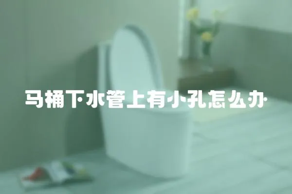馬桶下水管上有小孔怎么辦