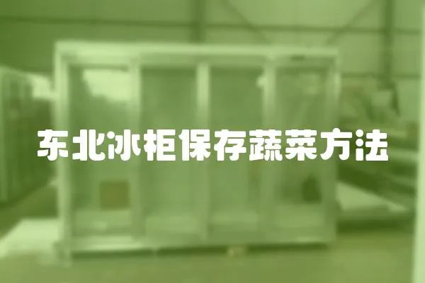 東北冰柜保存蔬菜方法