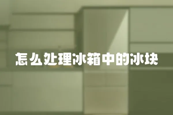 怎么處理冰箱中的冰塊