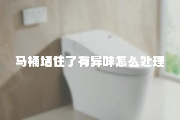 马桶堵住了有异味怎么处理