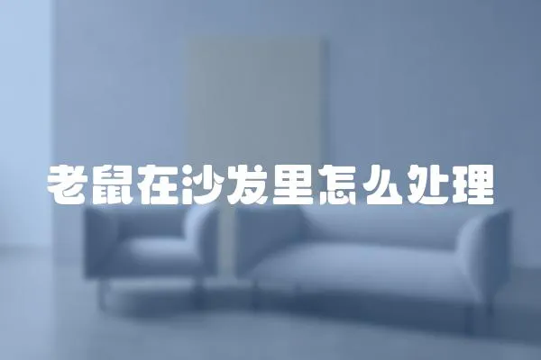 老鼠在沙發(fā)里怎么處理