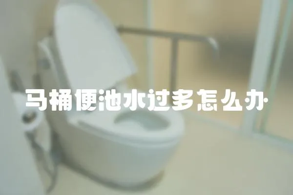 馬桶便池水過多怎么辦