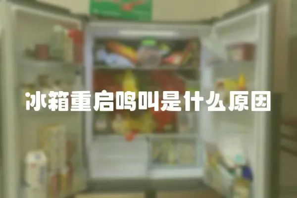 冰箱重啟鳴叫是什么原因