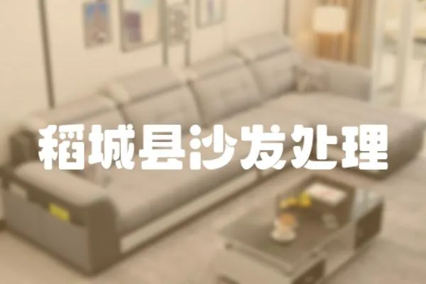 稻城縣沙發(fā)處理