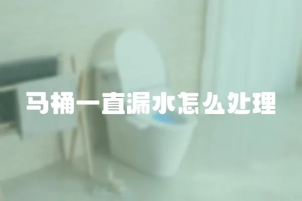 馬桶一直漏水怎么處理
