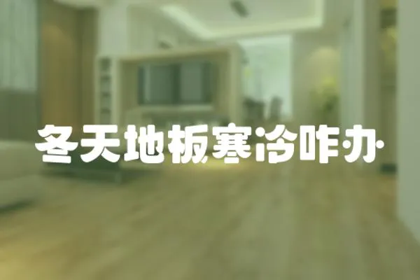 冬天地板寒冷咋辦
