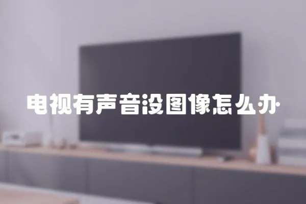 電視有聲音沒圖像怎么辦