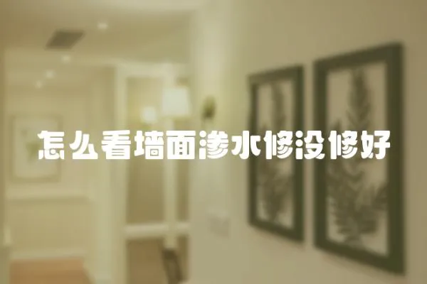 怎么看墻面滲水修沒修好