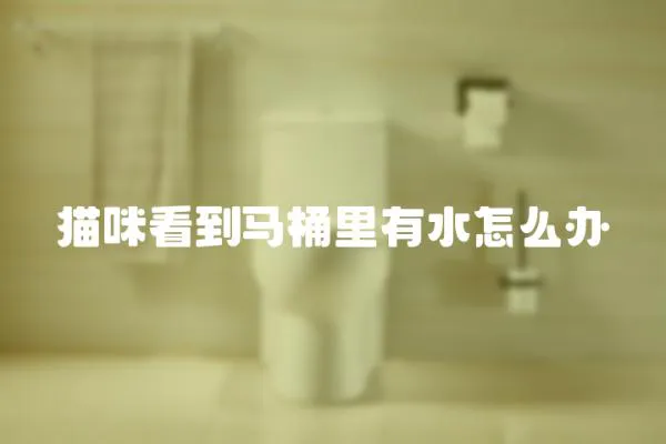 貓咪看到馬桶里有水怎么辦