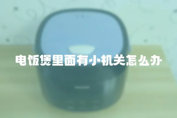 電飯煲里面有小機關怎么辦