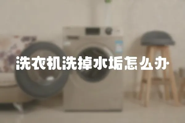 洗衣機洗掉水垢怎么辦