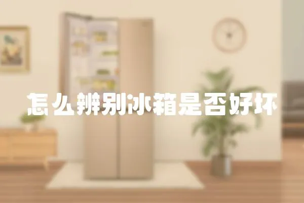 怎么辨別冰箱是否好壞