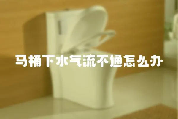 馬桶下水氣流不通怎么辦