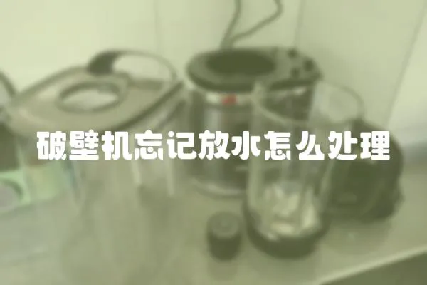 破壁機忘記放水怎么處理