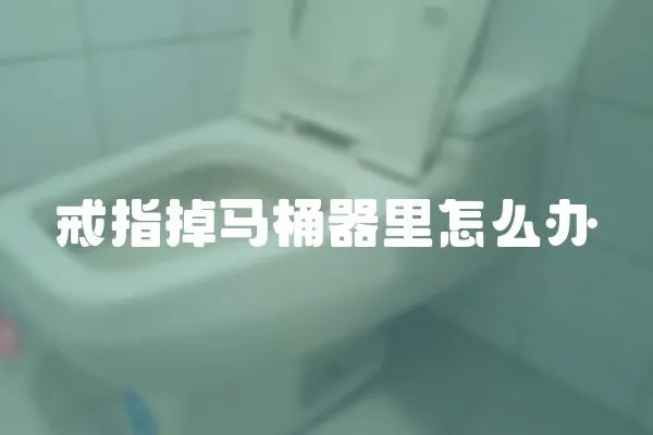 戒指掉马桶器里怎么办