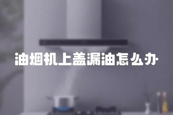 油煙機(jī)上蓋漏油怎么辦