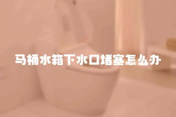 馬桶水箱下水口堵塞怎么辦