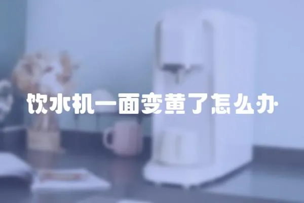 飲水機一面變黃了怎么辦