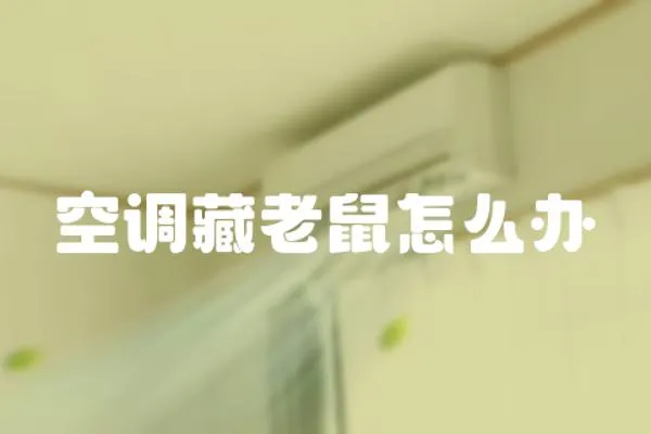 空調藏老鼠怎么辦