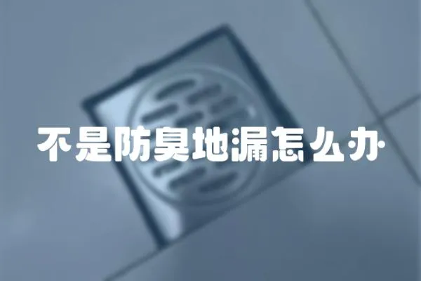 不是防臭地漏怎么辦