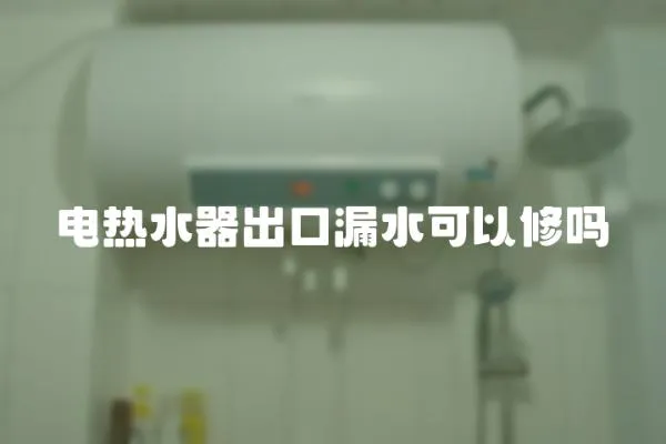 電熱水器出口漏水可以修嗎