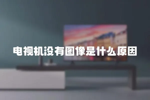 電視機沒有圖像是什么原因