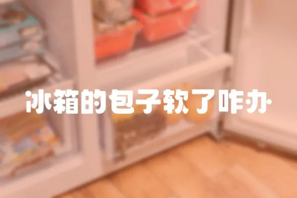 冰箱的包子軟了咋辦