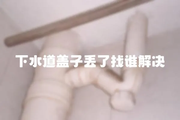 下水道蓋子丟了找誰解決