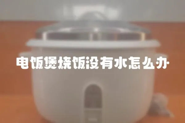 電飯煲燒飯沒有水怎么辦