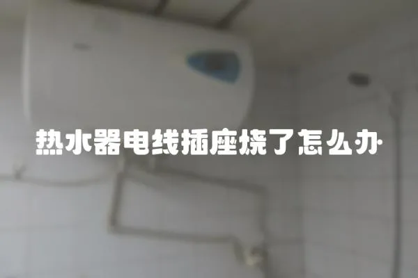熱水器電線插座燒了怎么辦
