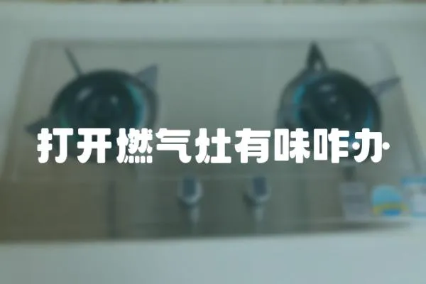 打開燃氣灶有味咋辦
