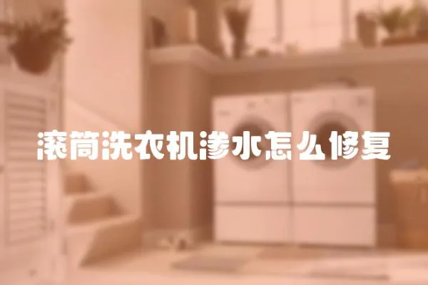 滾筒洗衣機滲水怎么修復