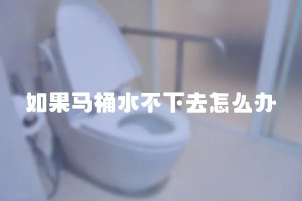 如果馬桶水不下去怎么辦