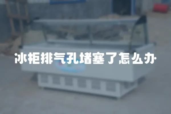 冰柜排氣孔堵塞了怎么辦