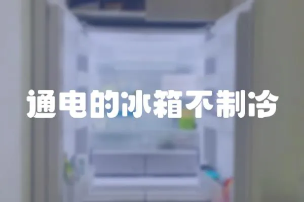 通電的冰箱不制冷