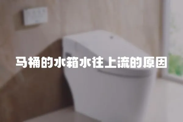 馬桶的水箱水往上流的原因