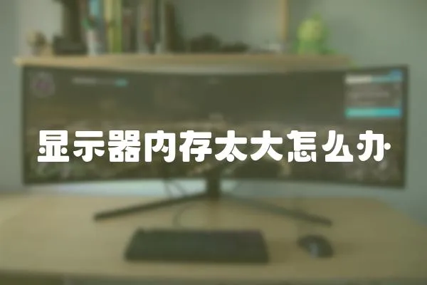 顯示器內存太大怎么辦