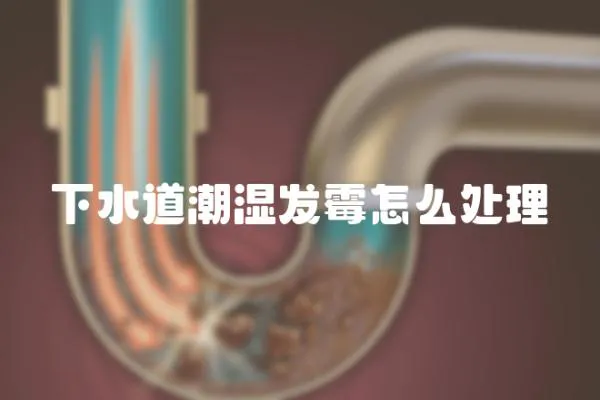 下水道潮濕發(fā)霉怎么處理