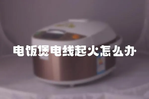 電飯煲電線起火怎么辦