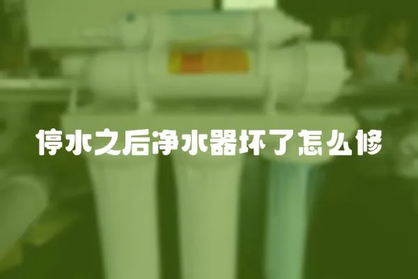 停水之后凈水器壞了怎么修